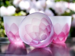 ϡڤΰ˼ҡ