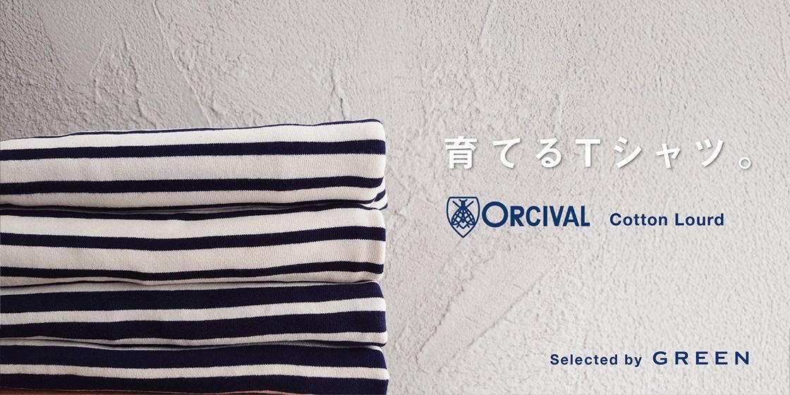 ƤTġORCIVAL Cotton Lourd