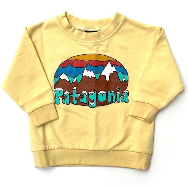 【Patagonia】 Baby LW Crew Sweatshirt 18M-5T (FFOA) / パタゴニア ベビーライトウェイトクルースウェットシャツ 60975