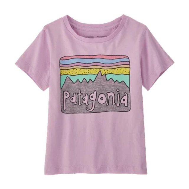 Patagonia Baby Fitz Roy Skies T-Shirt 18M-5T (Pink) /  ѥ˥ ٥ӡեåĥT (ԥ)