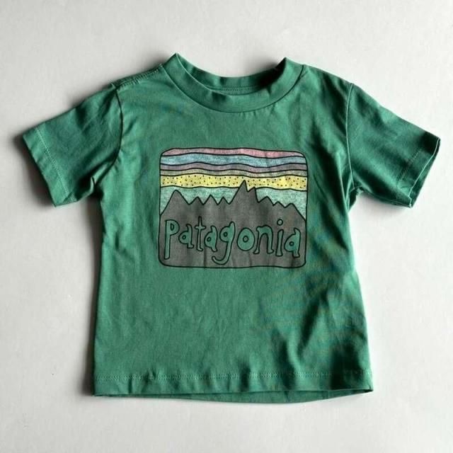 Patagonia Baby Fitz Roy Skies T-Shirt 18M-5T (HTLG) / ѥ˥ ٥ӡեåĥĥƥ