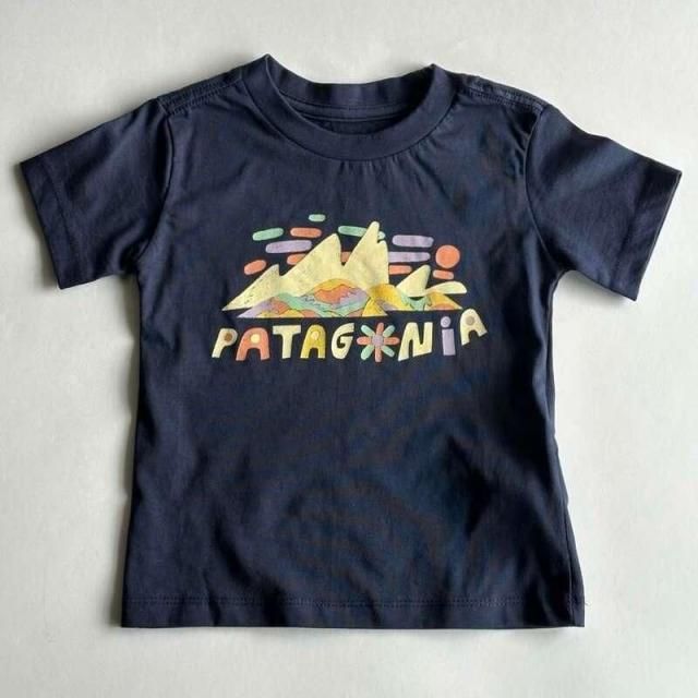 Patagonia Baby Graphic T-Shirt 18M-5T (FSBN) / ѥ˥ ٥ӡեåƥ