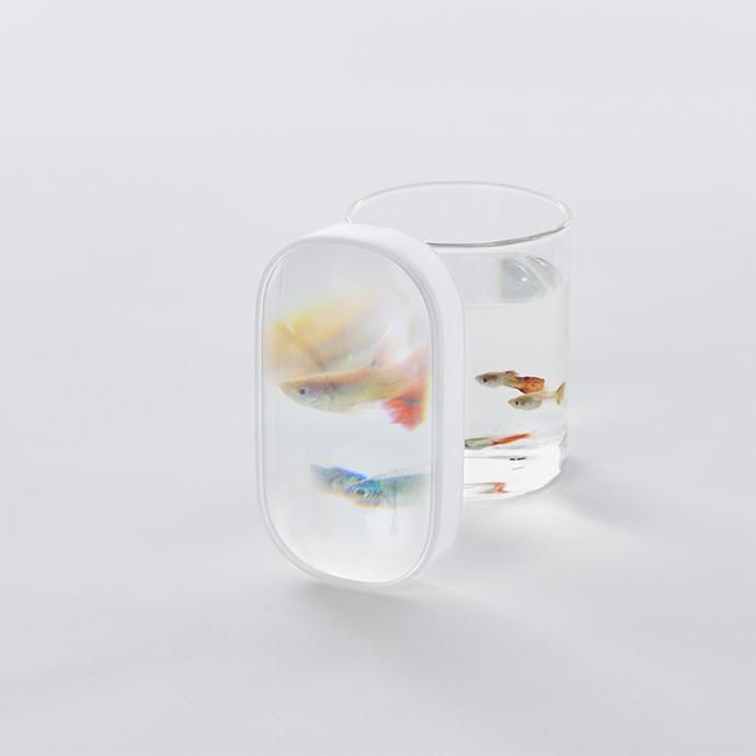 チップ&デール】フォトフレーム ベネリック 箱あり 未使用 希少 商品