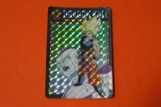 ビジュアルアドベンチャー 61種61枚(並品) ビジュアルアドベンチャー 61種61枚(並品) ビジュアルアドベンチャー