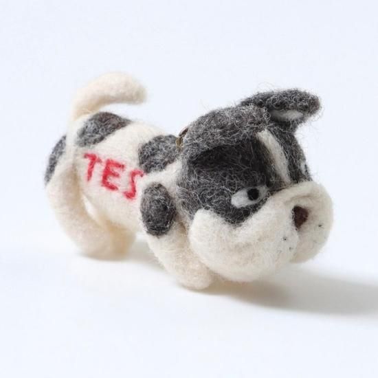 TES,TheEndlessSummer,エンドレスサマー,ブルドック,FIN,SURF