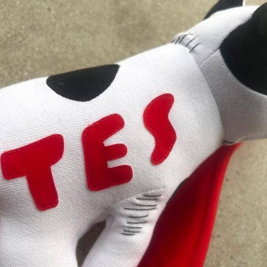 TES,TheEndlessSummer,エンドレスサマー,ブルドック,FIN,SURF