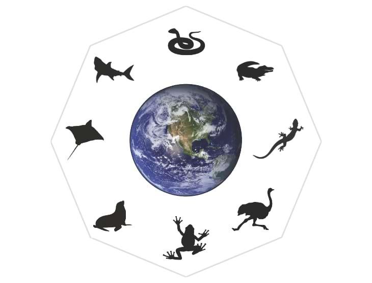 レアイギリス ポートメリオン タイル 二枚 レアイギリス