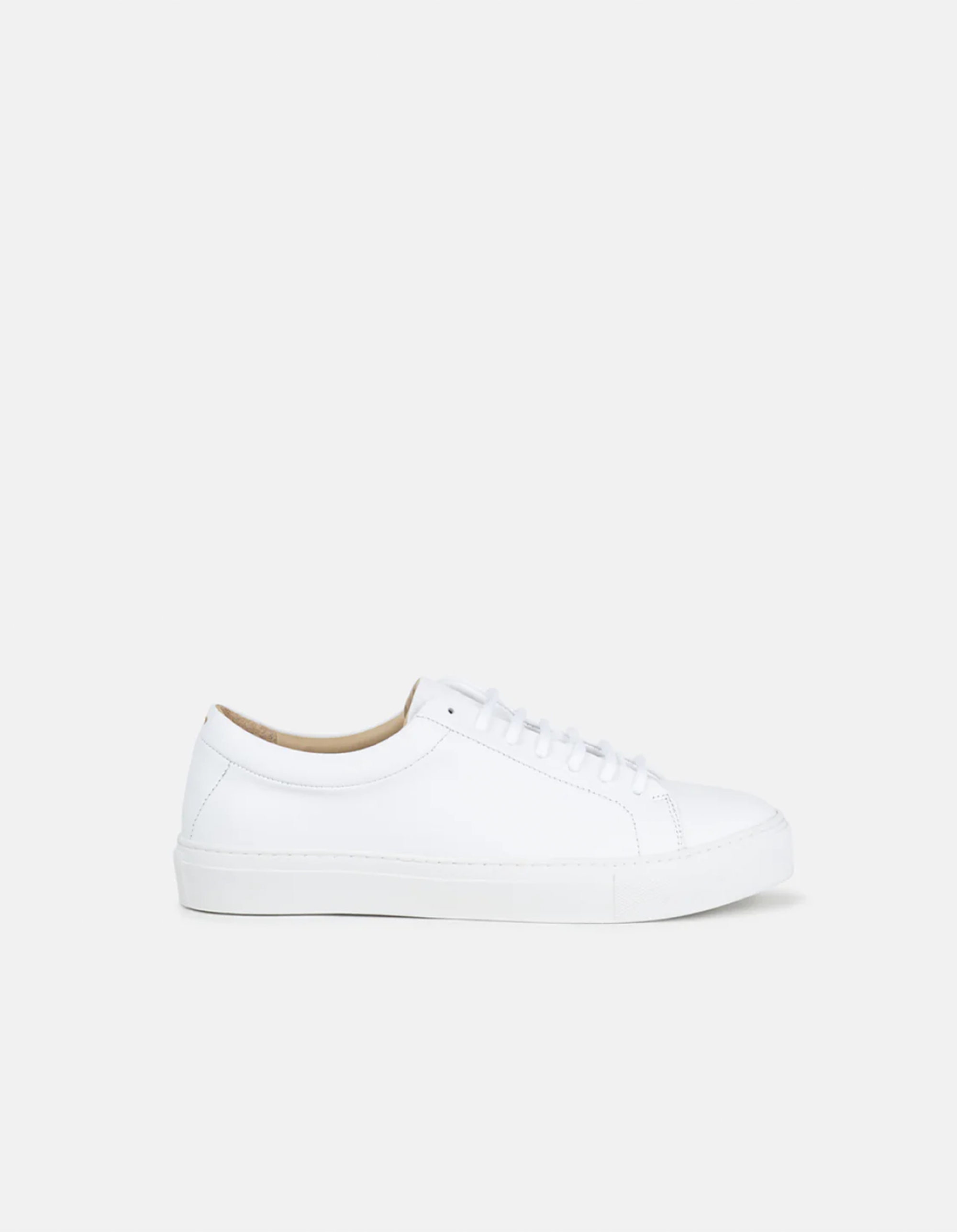 <img class='new_mark_img1' src='https://img.shop-pro.jp/img/new/icons8.gif' style='border:none;display:inline;margin:0px;padding:0px;width:auto;' />ROYAL REPUBLIQSPARTACUS LEATHER SNEAKERS 2col