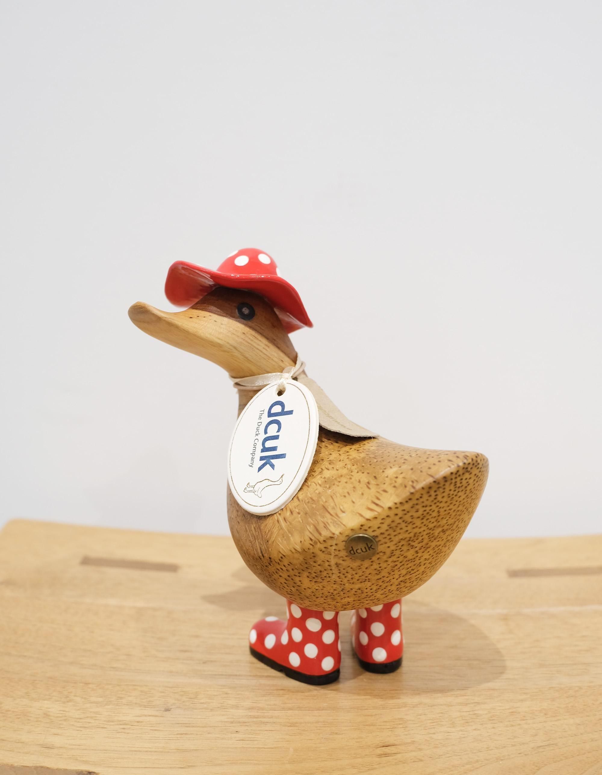 DCUKRainy Days 'amelia'  å ⡼/å