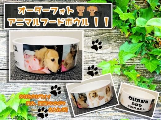 オーダー  ハンドメイド 猫 ペット 犬 フードボウル ボール ビーグル オーダー ハンドメイド 猫 ペット 犬 フードボウル ボール ビーグル