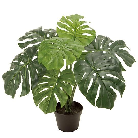 観葉植物 モンステラポット50cm アーティフィシャルフラワー