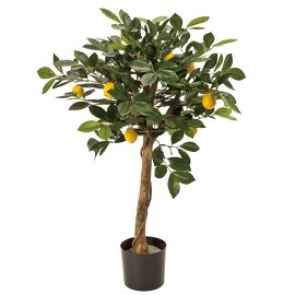 観葉植物　レモンの木ポット75cm　アーティフィシャルフラワー
