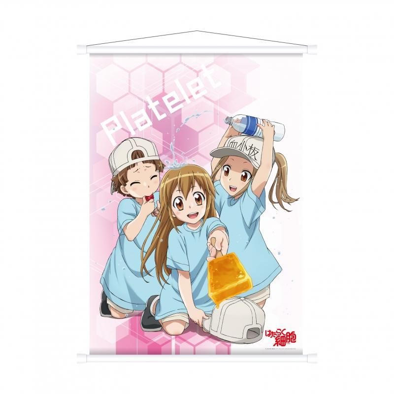 少女時代 タペストリー ポスター 2025年9月下旬発売】『少女☆歌劇 レヴュースタァライト』花の