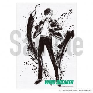 TV˥WIND BREAKER١Хܡɡ
