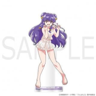 TV˥֤1/2ץ륹  ס