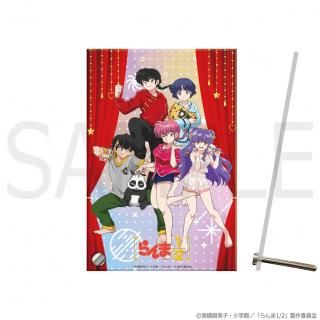 TV˥֤1/2ץץ졼 