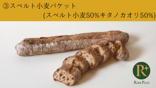 スペルト小麦バゲット【スペルト小麦50％ キタノカオリ50％】