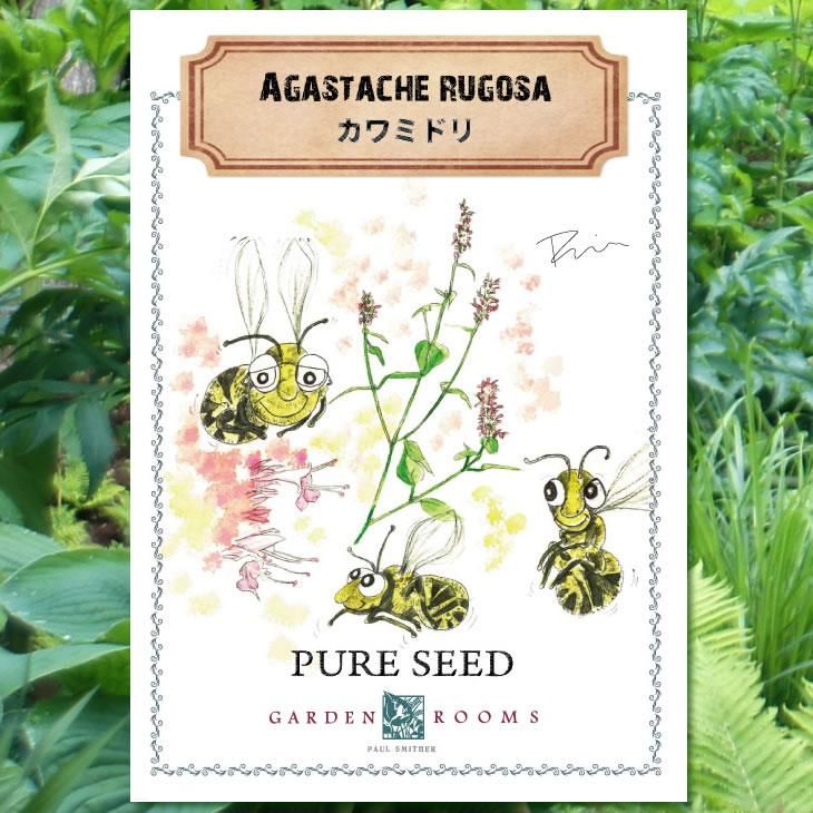 種 カワミドリ Garden Rooms ポール スミザー 自然の韻 うた が聞こえる庭づくり 種 カワミドリ Garden Rooms ポール スミザー 自然の韻 うた が聞こえる庭づくり