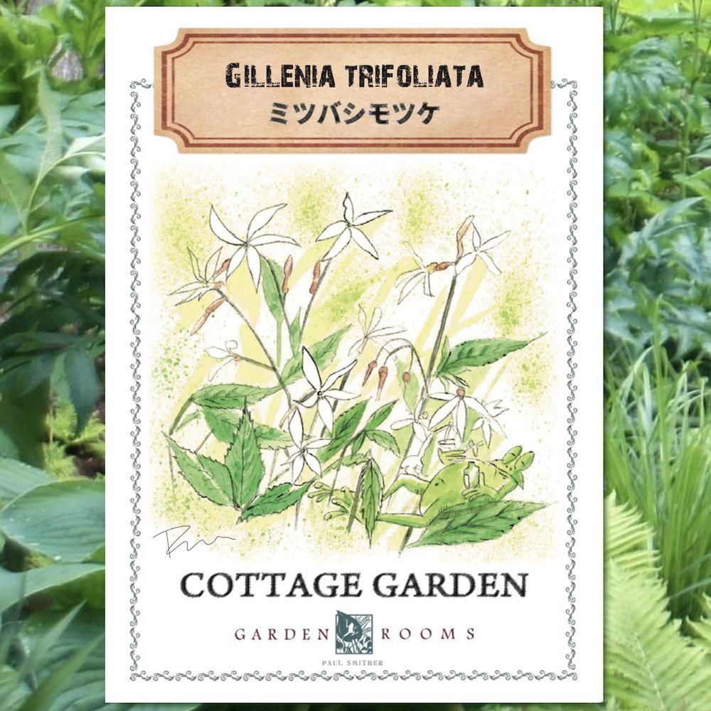 種 ミツバシモツケ Garden Rooms ポール スミザー 自然の韻 うた が聞こえる庭づくり 種 ミツバシモツケ Garden Rooms ポール スミザー 自然の韻 うた が聞こえる庭づくり