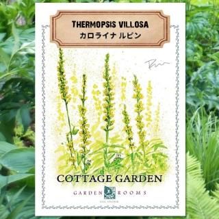 園芸品種 Garden Rooms ポール スミザー 園芸品種 Garden Rooms ポール スミザー