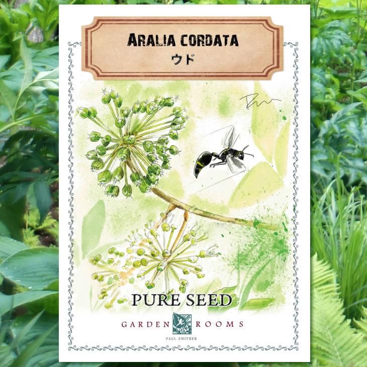 種 ウド Garden Rooms ポール スミザー 自然の韻 うた が聞こえる庭づくり 種 ウド Garden Rooms ポール スミザー 自然の韻 うた が聞こえる庭づくり