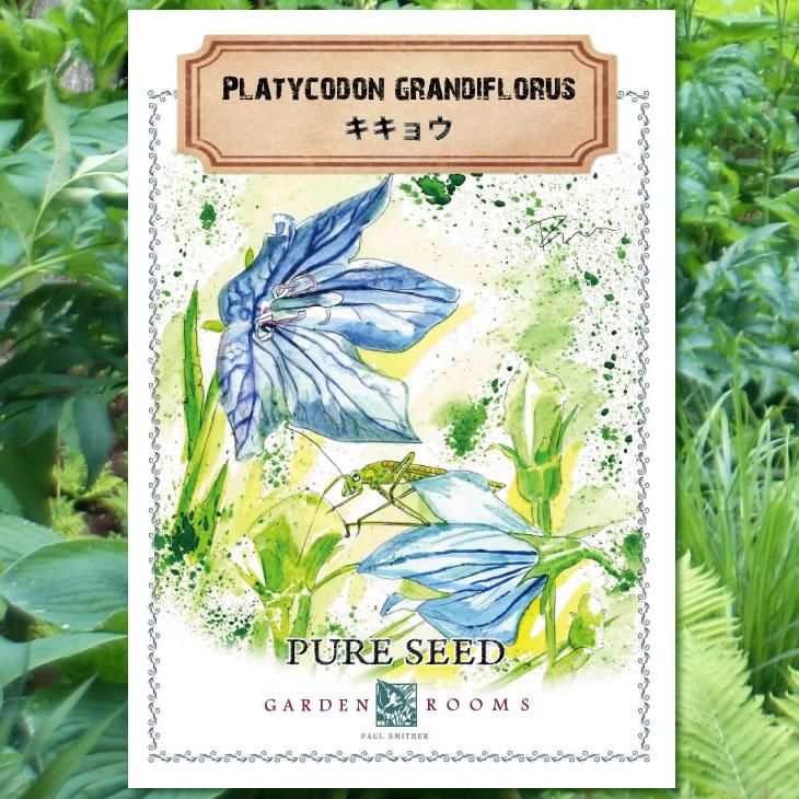 種 キキョウ Garden Rooms ポール スミザー 自然の韻 うた が聞こえる庭づくり 種 キキョウ Garden Rooms ポール スミザー 自然の韻 うた が聞こえる庭づくり