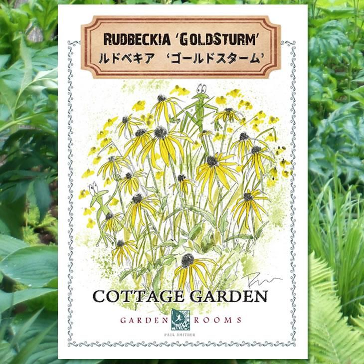 種 ルドベキア ゴールドスターム Garden Rooms ポール スミザー 自然の韻 うた が聞こえる庭づくり 種 ルドベキア ゴールドスターム Garden Rooms ポール スミザー 自然の韻 うた が聞こえる庭づくり