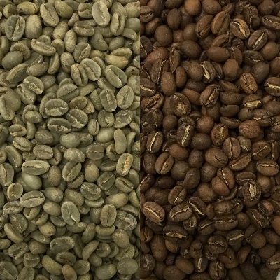 スペシャルティコーヒー生豆 シダマ　ベンサ（エチオピア）