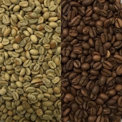 スペシャルティコーヒー生豆 ナチュラル　シダマ　ベンサ（エチオピア）