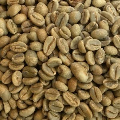 スペシャルティコーヒー生豆（エチオピア） 