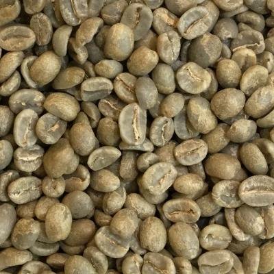 スペシャルティコーヒー生豆（コロンビア） 