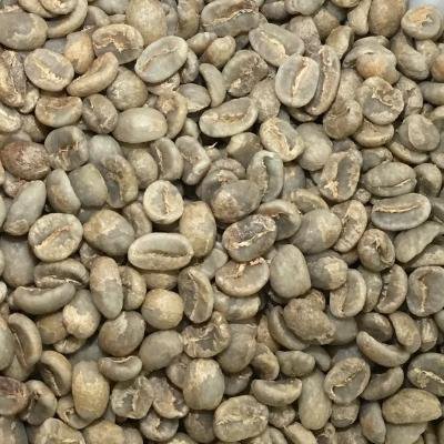 スペシャルティコーヒー生豆（エルサルバドル） 