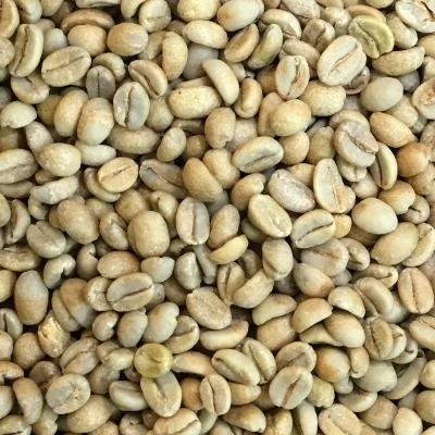 スペシャルティコーヒー生豆 アナエロビック　グジ　オロミア（エチオピア）