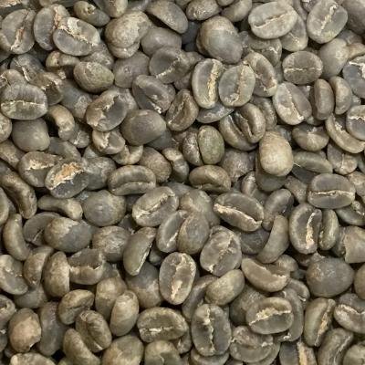 スペシャルティコーヒー生豆 キアンデリ - AA（ケニア）