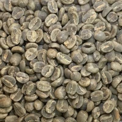 スペシャルティコーヒー生豆 キアンデリ - AA（ケニア）