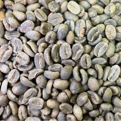 スペシャルティコーヒー生豆（コロンビア） 