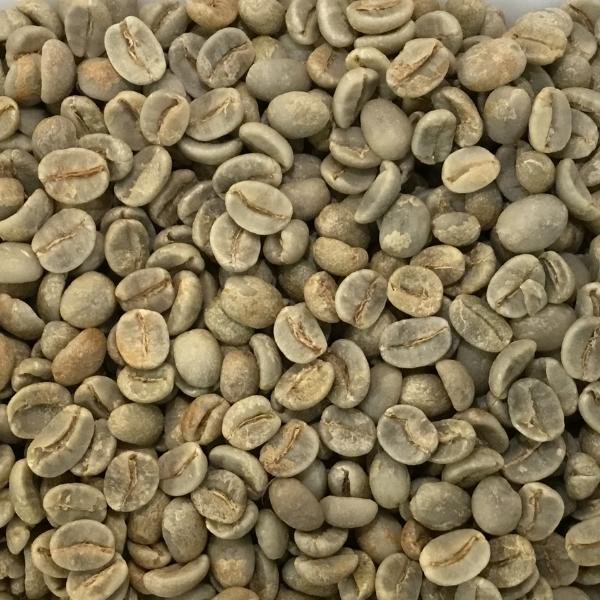 スペシャルティコーヒー生豆 （Brazil）