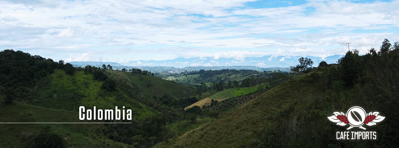 コーヒー生豆生産地風景〜コロンビアのスペシャルティコーヒー