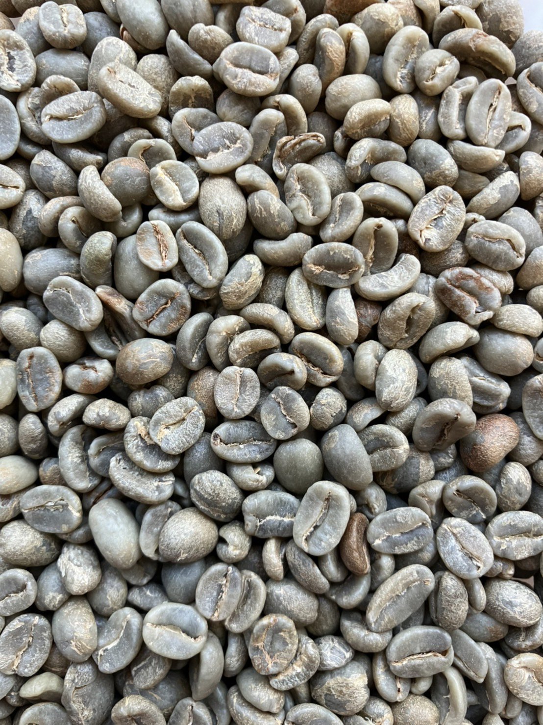 スペシャルティコーヒー生豆 ワイカン ウエウエテナンゴ (Guatemala) 