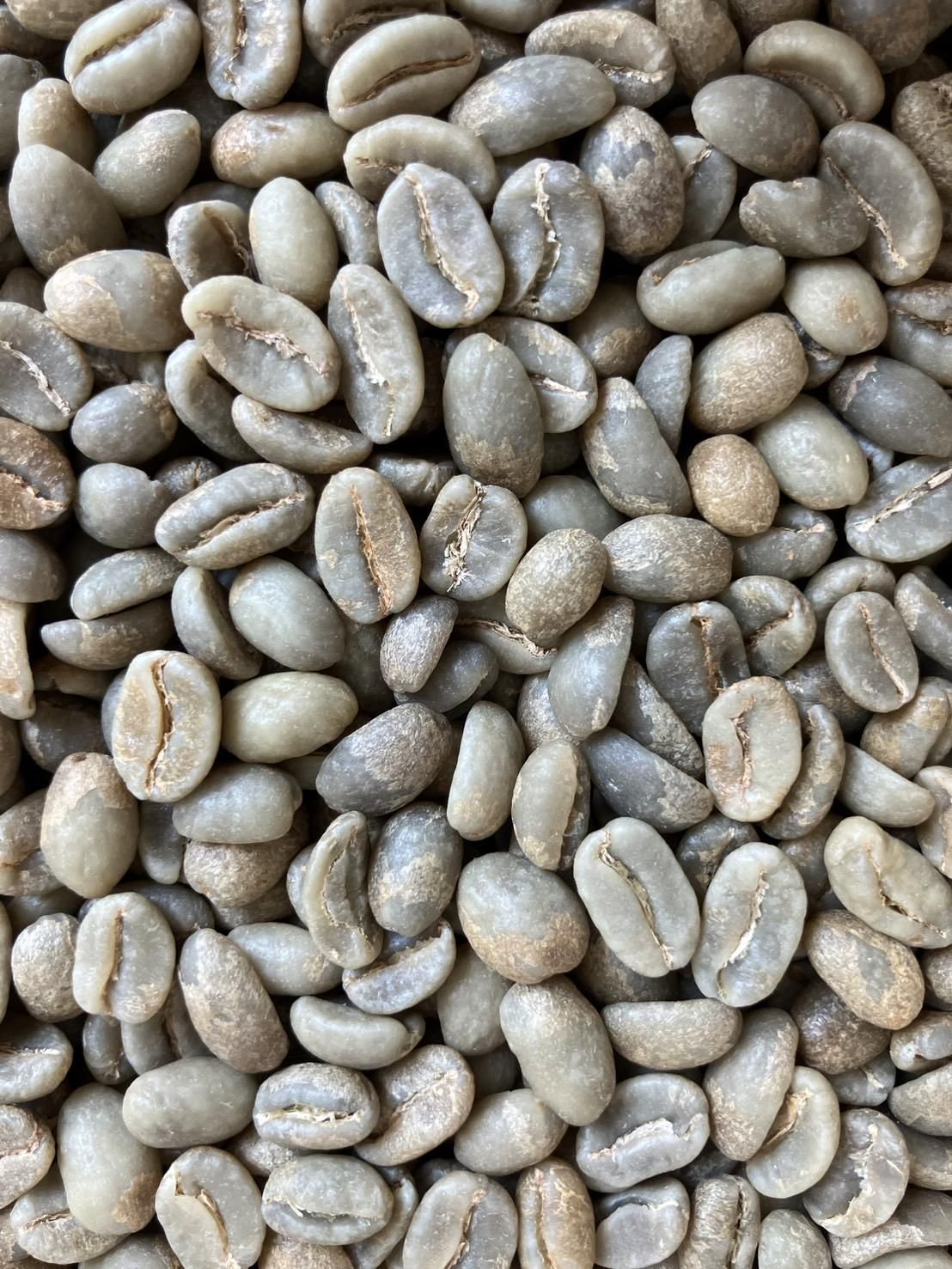 Cofinet】 ルス・エレナ・サラザール-ピンクブルボン-ウォッシュド