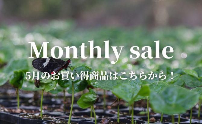 https://img07.shop-pro.jp/PA01343/743/etc/4%B7%EE%A5%DE%A5%F3%A5%B9%A5%EA%A1%BC%A5%BB%A1%BC%A5%EB%A5%C8%A5%C4%A5%D7.jpg?cmsp_timestamp=20230404204504
