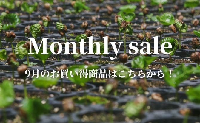 https://img07.shop-pro.jp/PA01343/743/etc/4%B7%EE%A5%DE%A5%F3%A5%B9%A5%EA%A1%BC%A5%BB%A1%BC%A5%EB%A5%C8%A5%C4%A5%D7.jpg?cmsp_timestamp=20230404204504