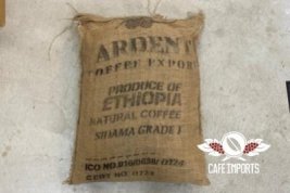 【卸販売向け・30kg麻袋】ナチュラル・シダマ ベンサ-デベラ-G1(Ethiopia)