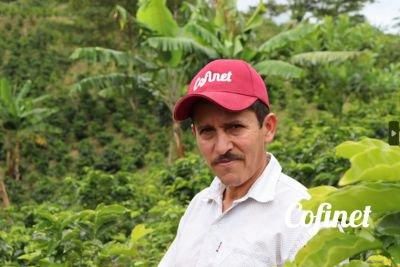 Cofinet 륤˥Х롦ǥ-ԥ󥯥֥ܥ-ʥ-Colombia