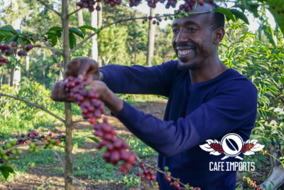 <img class='new_mark_img1' src='https://img.shop-pro.jp/img/new/icons5.gif' style='border:none;display:inline;margin:0px;padding:0px;width:auto;' />1kg ʥ롡󡡥ޥƥե - 㥭 - (Ethiopia)