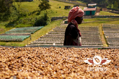 <img class='new_mark_img1' src='https://img.shop-pro.jp/img/new/icons5.gif' style='border:none;display:inline;margin:0px;padding:0px;width:auto;' />1kg ϥˡ 졼ɣ-󥯥(Ethiopia)