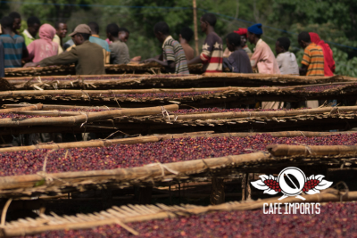 <img class='new_mark_img1' src='https://img.shop-pro.jp/img/new/icons5.gif' style='border:none;display:inline;margin:0px;padding:0px;width:auto;' />ǥե MC (Ethiopia)