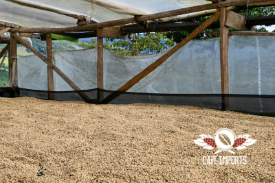 <img class='new_mark_img1' src='https://img.shop-pro.jp/img/new/icons5.gif' style='border:none;display:inline;margin:0px;padding:0px;width:auto;' /> - ӥ ԥ󥯡֥ܥ - ʥColombia