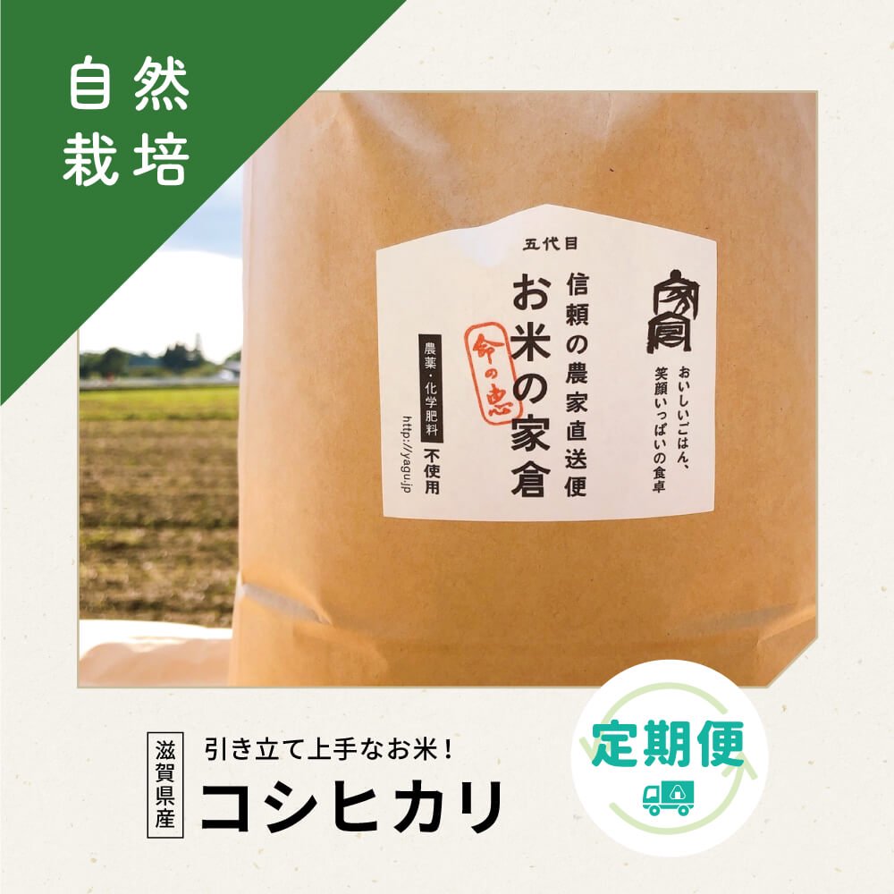 自然栽培米｜コシヒカリ