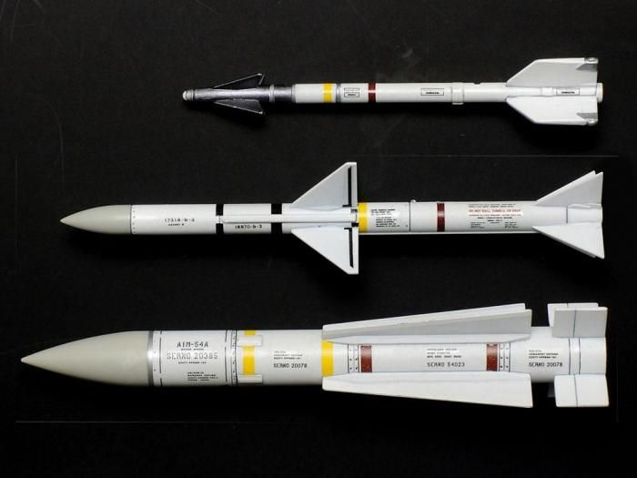 タミヤ】61114)1/48 グラマン F-14A トムキャット - 福岡の